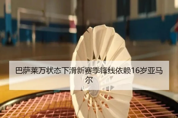 ba-sa-lai-wan-zhuang-tai-xia-hua-xin-sai-ji-feng-xian-yi-lai-sui-ya-ma-er-2-289.jpg